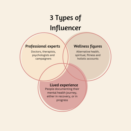 Three types of influencer